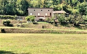 Villa Viola