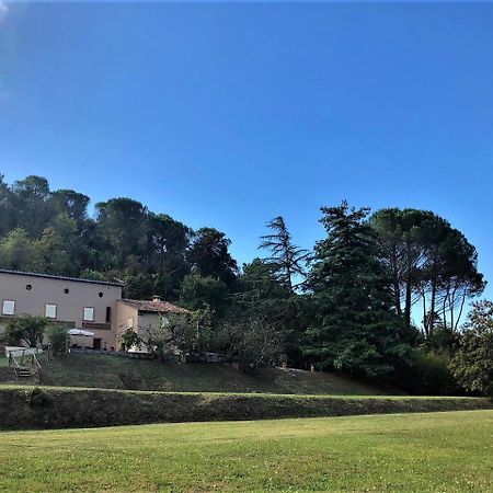 Villa Viola Lucques Extérieur photo