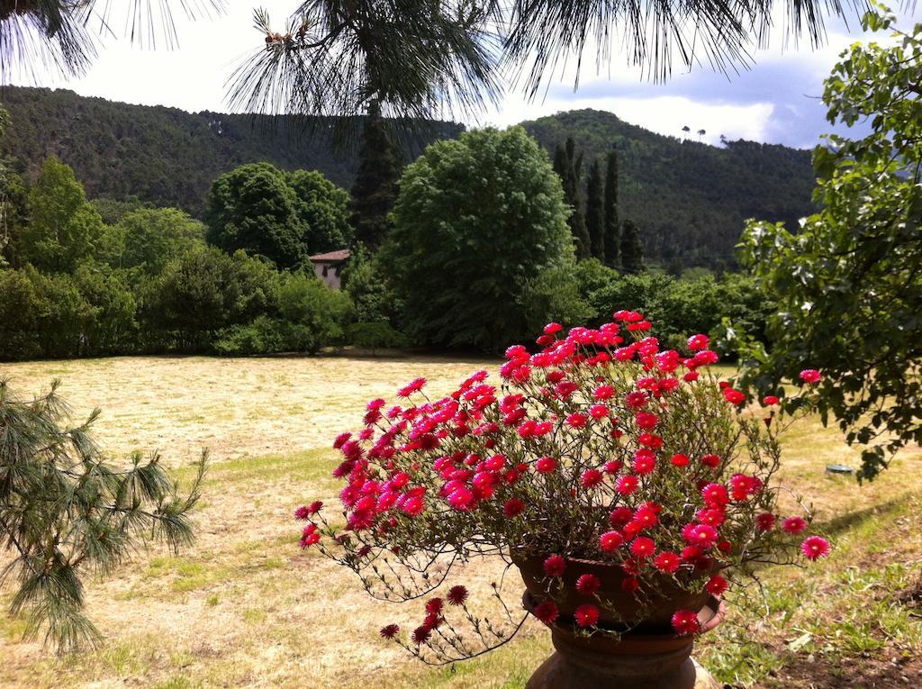Villa Viola Lucques Extérieur photo
